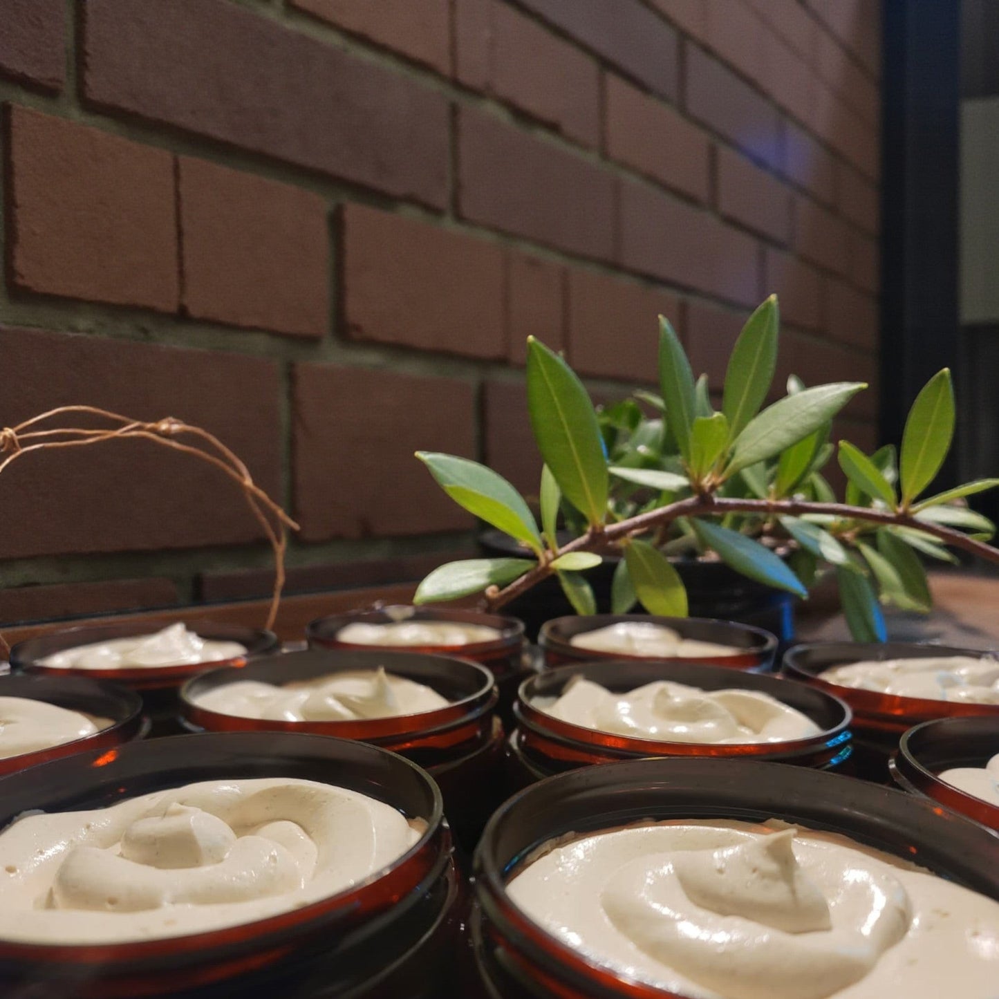 Haven Bliss Skincare Clove & Bay Body Cream, whipped ivory lotion in amber jars with a plant accent.